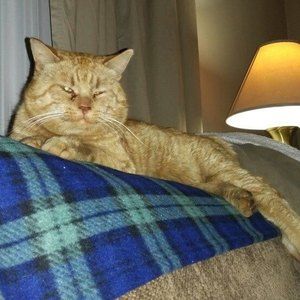 Meet your Posher, Karri